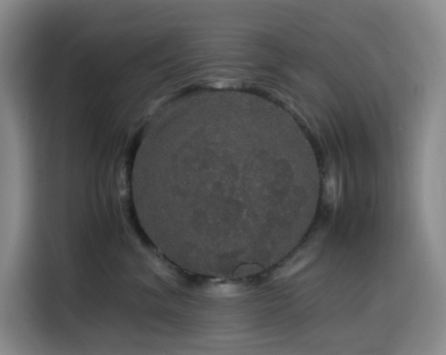 X0000116120620200911231216