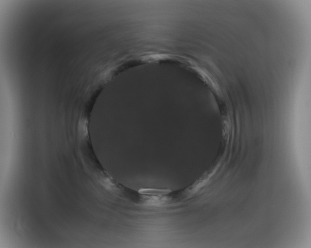 X0000116120621200911231216