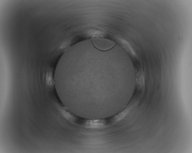 X0000116120622200911231216