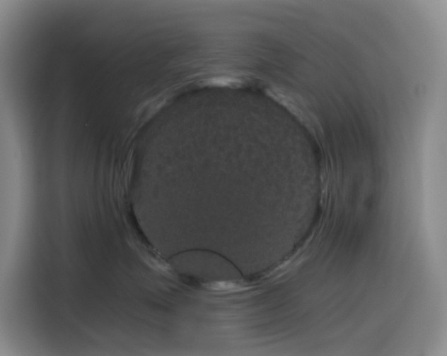 X0000116120623200911231216