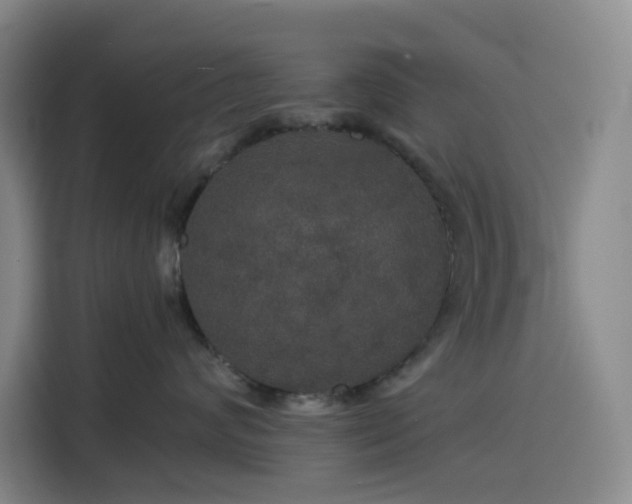 X0000116120624200911231216