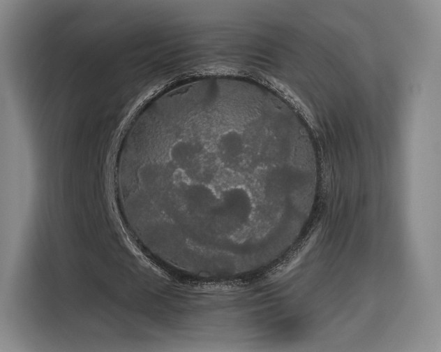 X0000116120625200911231216