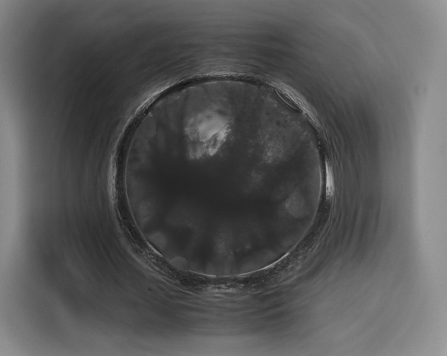 X0000116120627200911231216