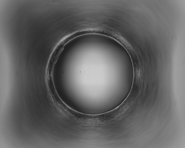 X0000116120628200911231216