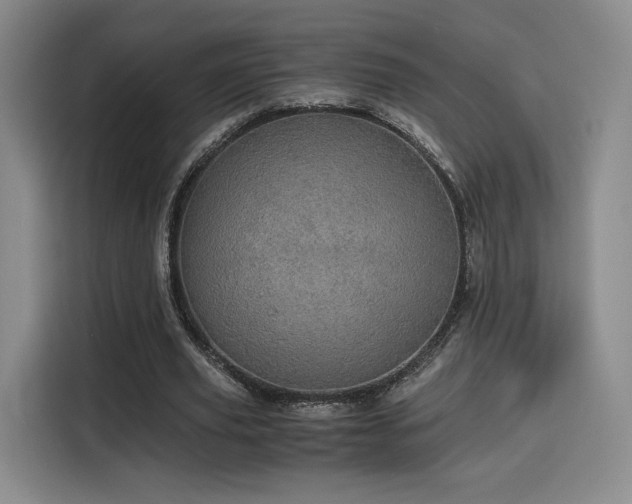 X0000116120629200911231216