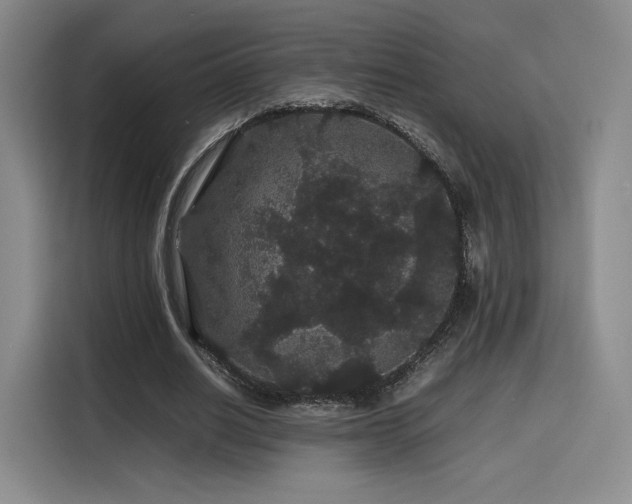 X0000116120630200911231216