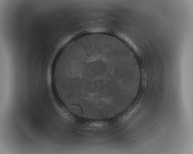 X0000116120631200911231216