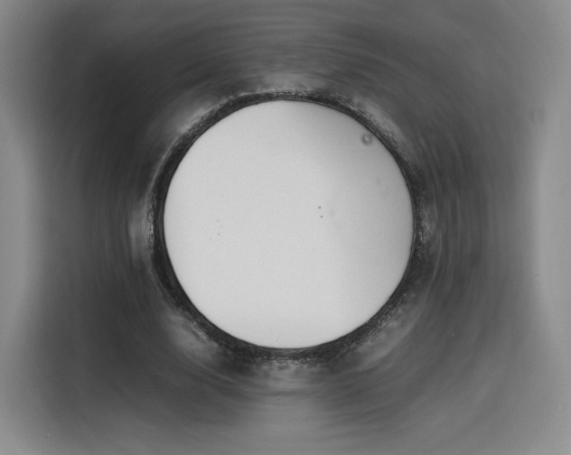 X0000116120632200911231216