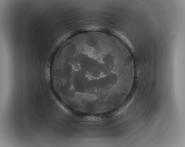 X0000116120633200911231216