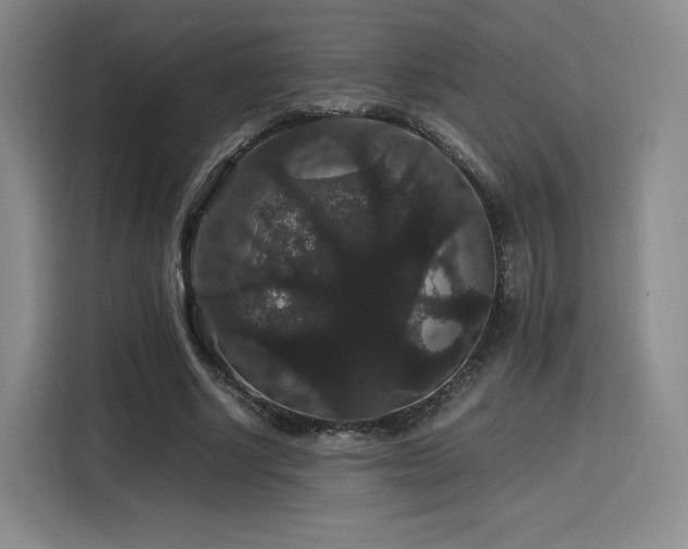 X0000116120634200911231216