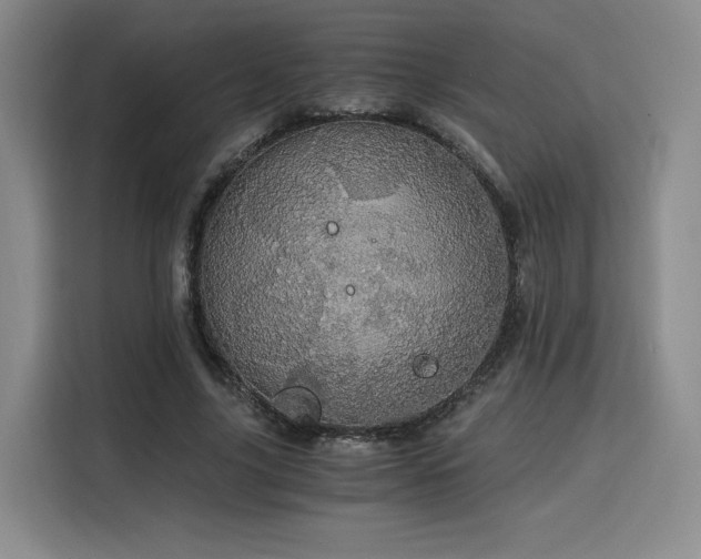 X0000116120635200911231216