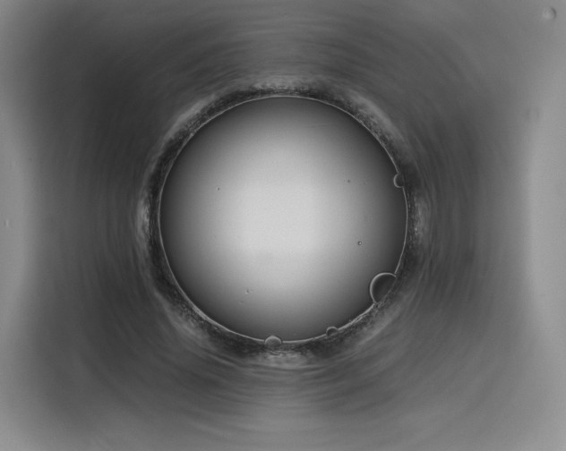 X0000116120636200911231216