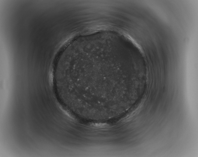 X0000116120637200911231216