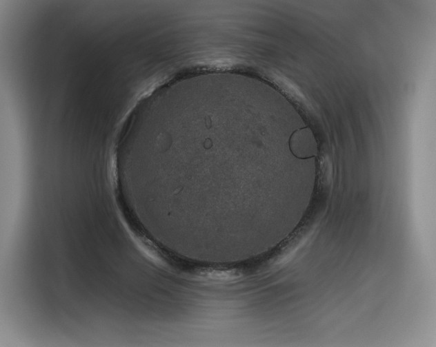 X0000116120638200911231216