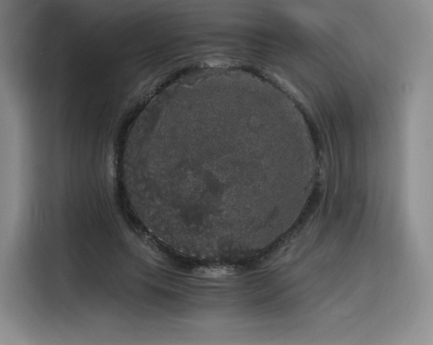 X0000116120639200911231216