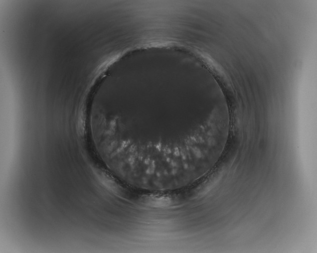 X0000116120640200911231216