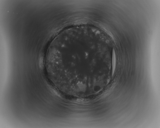 X0000116120641200911231216