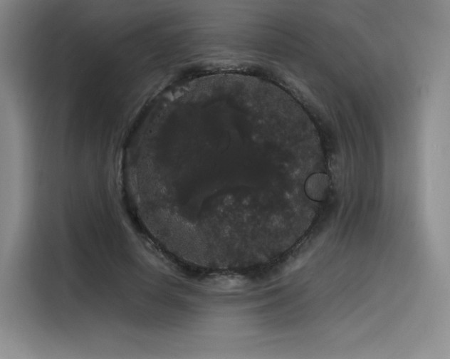 X0000116120642200911231216