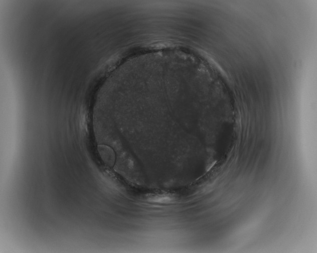 X0000116120643200911231216