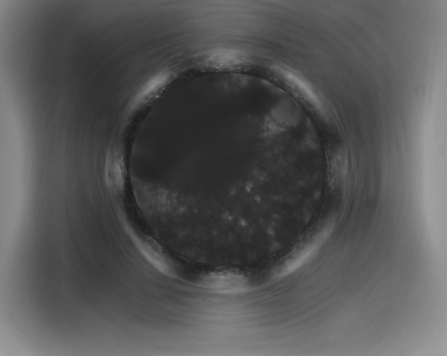 X0000116120644200911231216