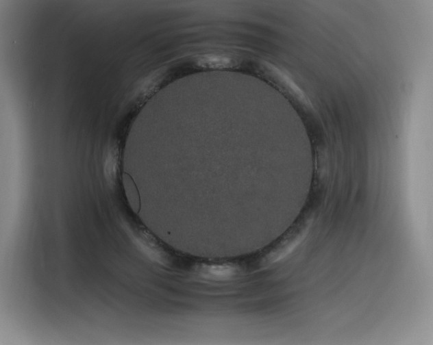 X0000116120645200911231216