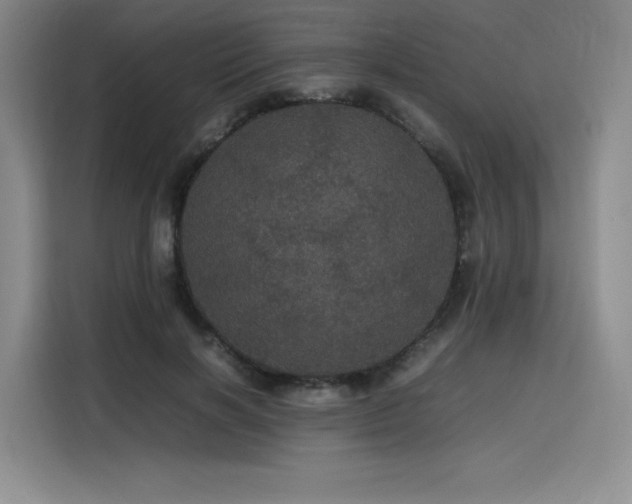 X0000116120646200911231216