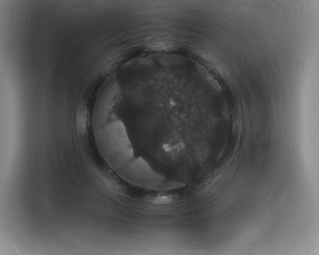 X0000116120647200911231216