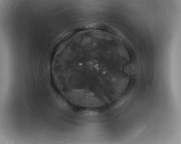 X0000116120648200911231216