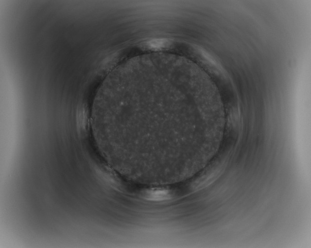 X0000116120651200911231216