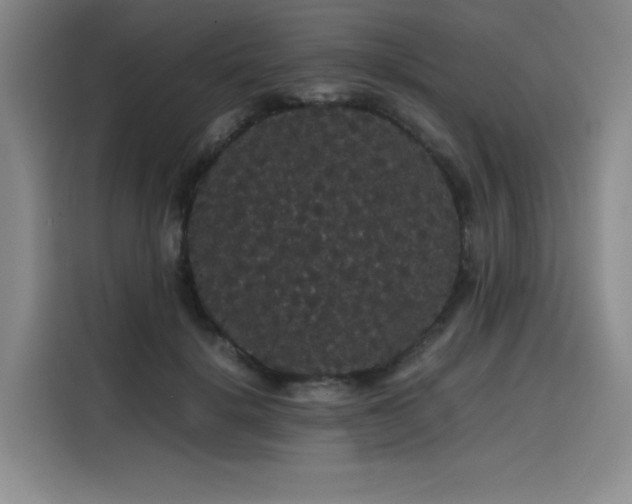 X0000116120652200911231216