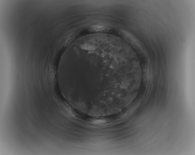 X0000116120653200911231216