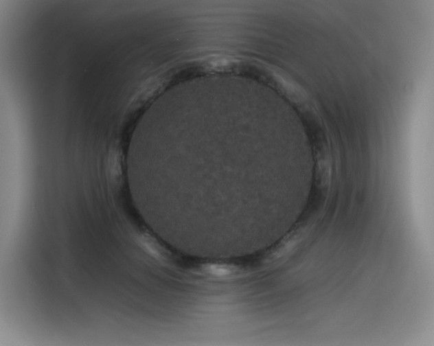 X0000116120654200911231216