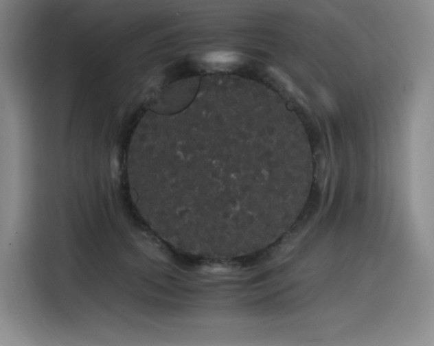 X0000116120655200911231216