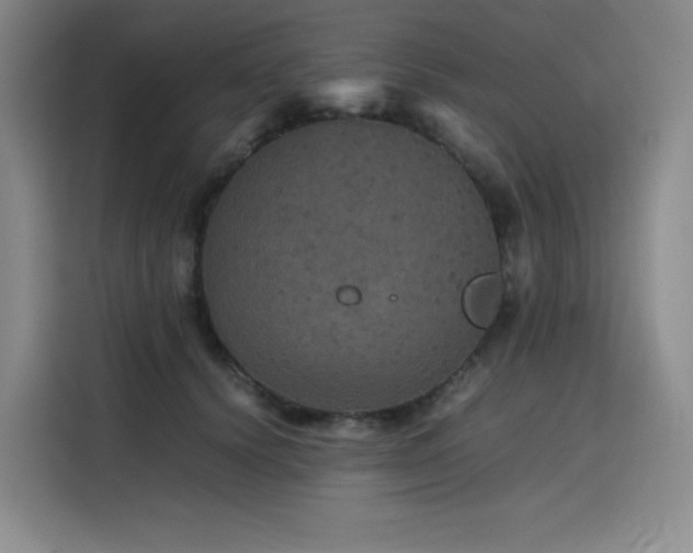 X0000116120656200911231216