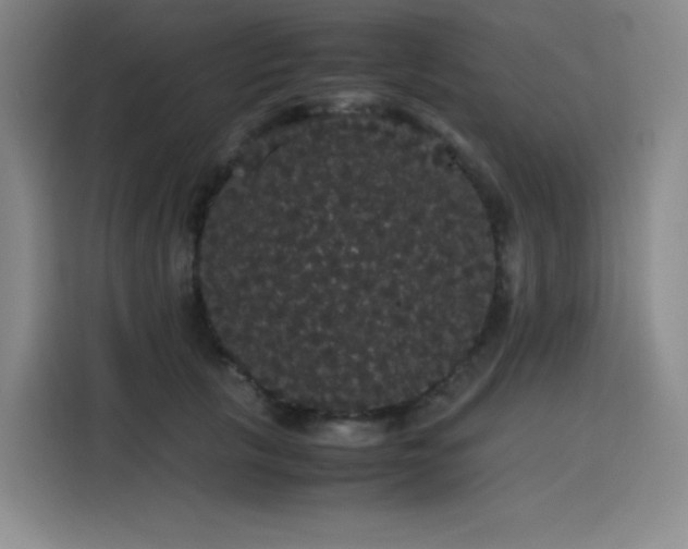 X0000116120657200911231216