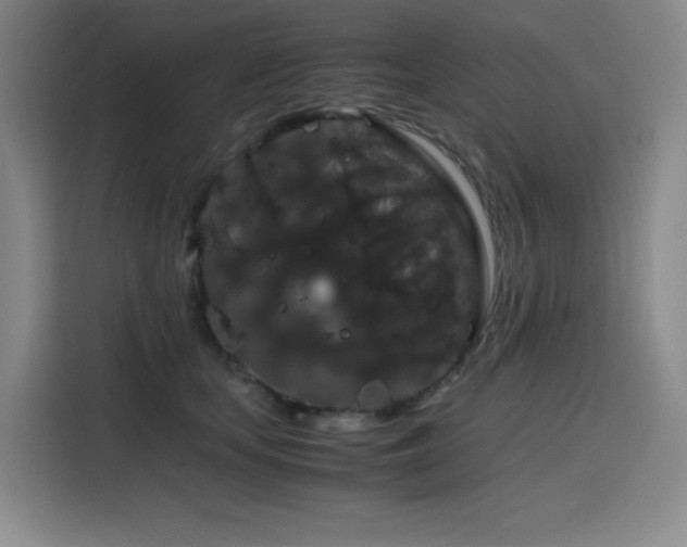 X0000116120659200911231216