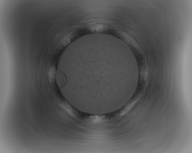 X0000116120660200911231216