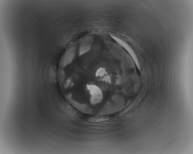 X0000116120661200911231216