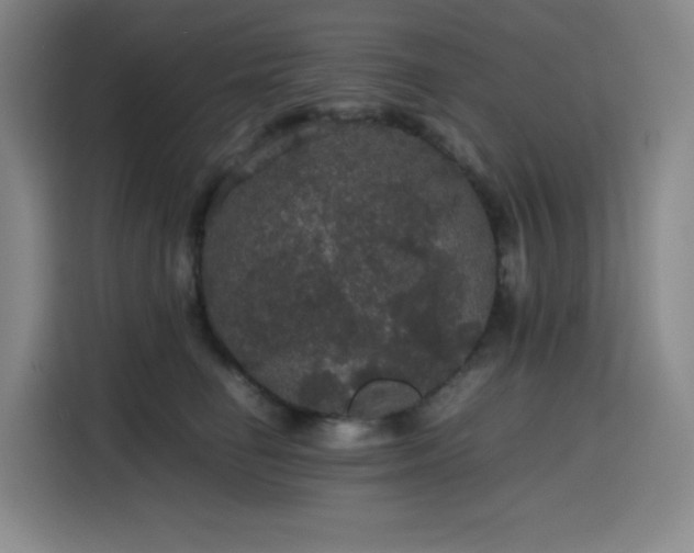 X0000116120662200911231216