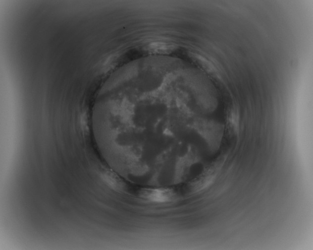 X0000116120663200911231216