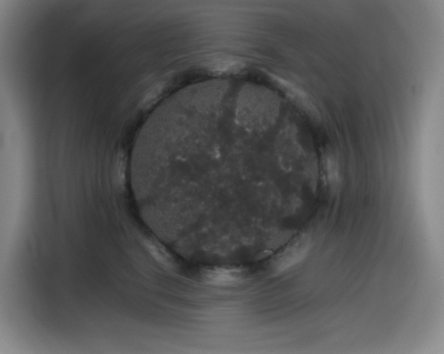 X0000116120664200911231216