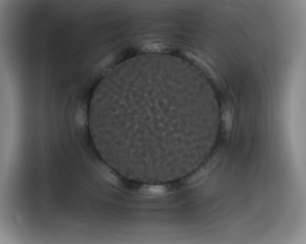 X0000116120665200911231216