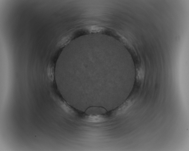 X0000116120666200911231216