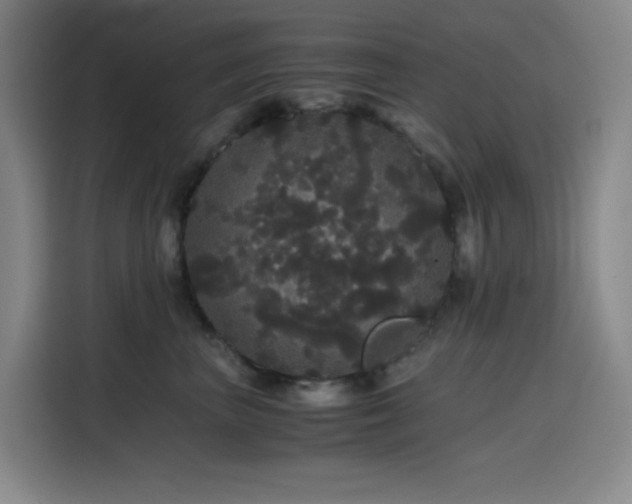 X0000116120667200911231216