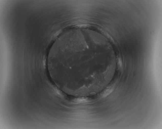 X0000116120668200911231216