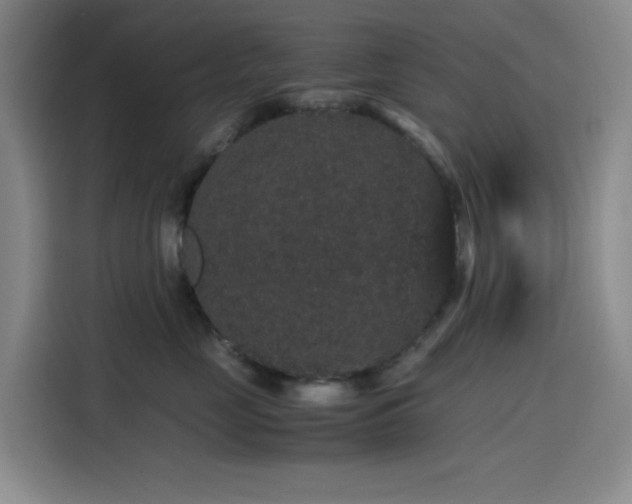 X0000116120669200911231216