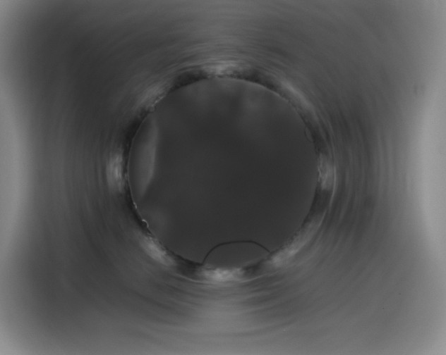 X0000116120670200911231216