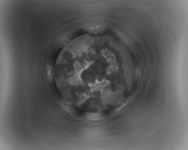 X0000116120671200911231216