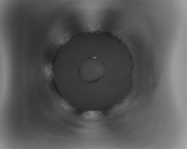 X0000116120672200911231216