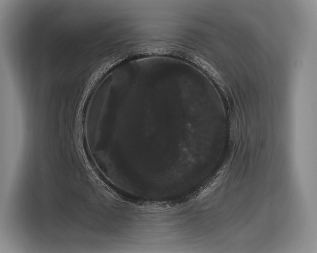 X0000116120673200911231216